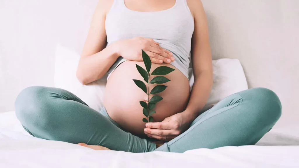 Imagem Mulher gravida segura planta de broto verde perto de sua barriga como simbolo de nova vida do artigo A Igreja celebra hoje o Dia do Nascituro
