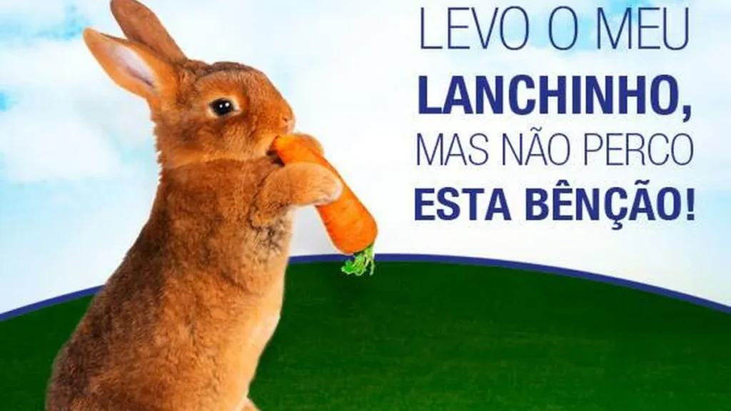 Imagem bencao dos animais do artigo Hoje tem bênção dos animais na Festa da Padroeira