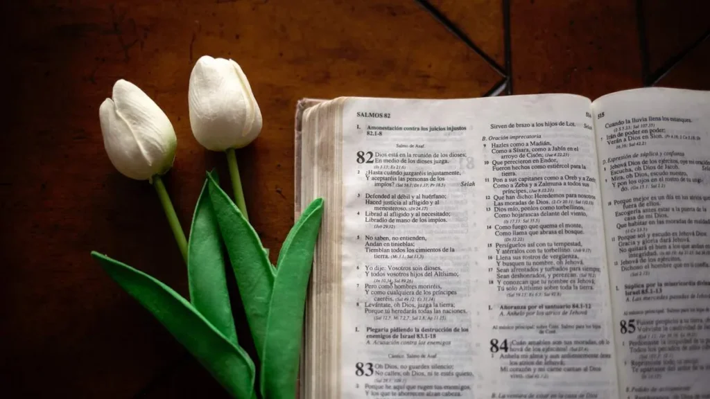 Imagem Salmos Palavra de Deus do artigo A função do salmista