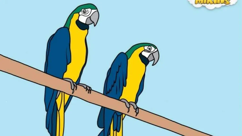 Imagem devotos mirins arara do artigo Animais do zoológico: 5 fatos sobre a arara