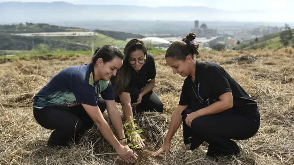 Imagem Plantio de mudas Santuario do artigo Iniciativas do Santuário no cuidado com a Casa Comum