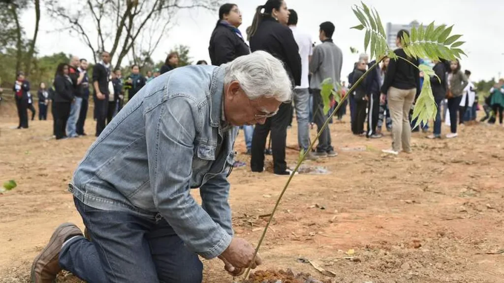 Imagem Plantio de Mudas semana do meio ambiente do artigo Ser um Santuário Ecológico é a missão do Santuário de Aparecida