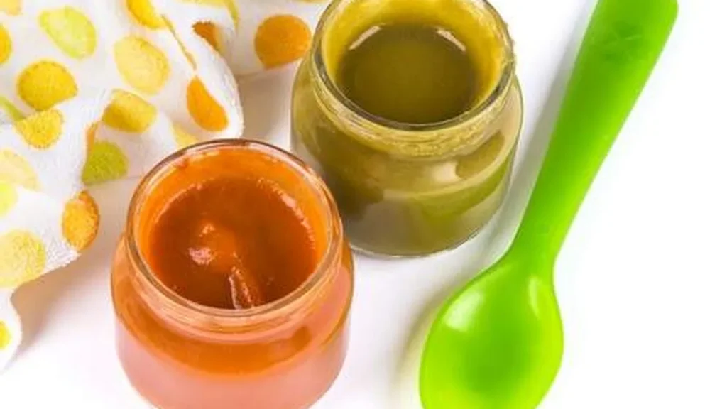 Imagem Santa receita Papinhas 1 do artigo A Dra. Ana Claudia Soares ensina a fazer algumas opções de papinhas!