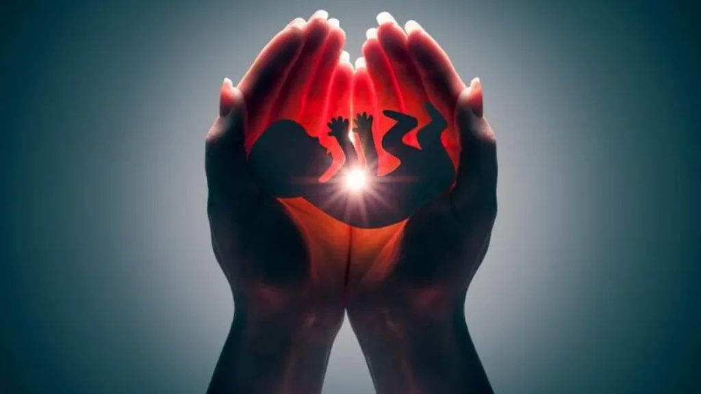 Imagem Embriao protecao do artigo Igreja se mobiliza para debate sobre a legalização do aborto no Brasil