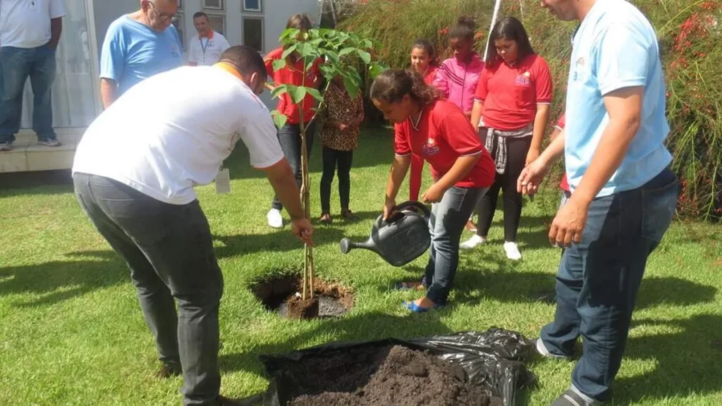Imagem Sugestao de Capa do artigo CAS São Geraldo celebra Dia da Árvore com plantio de mudas