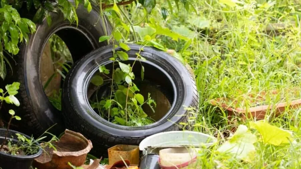 Imagem acumulo de lixo do artigo Cuidados com o meio ambiente ajudam a combater a dengue