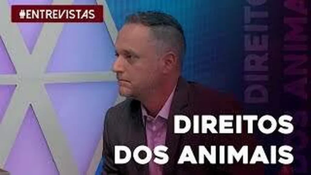 Imagem saiba quais os direitos dos animais assegurados do artigo Saiba quais os direitos dos animais assegurados por lei