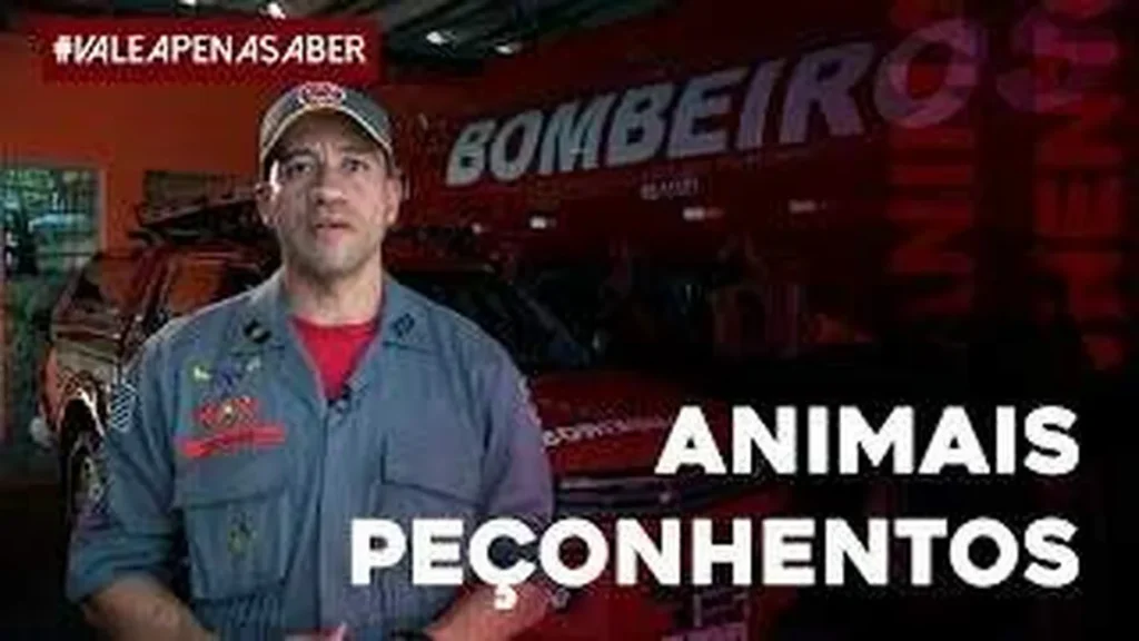 Imagem saiba o que fazer em casos de ataques de animai do artigo Saiba o que fazer em casos de ataques de animais peçonhentos