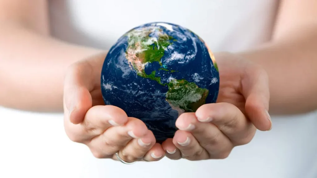 Imagem sustentabilidade do artigo Para que serve a sustentabilidade?