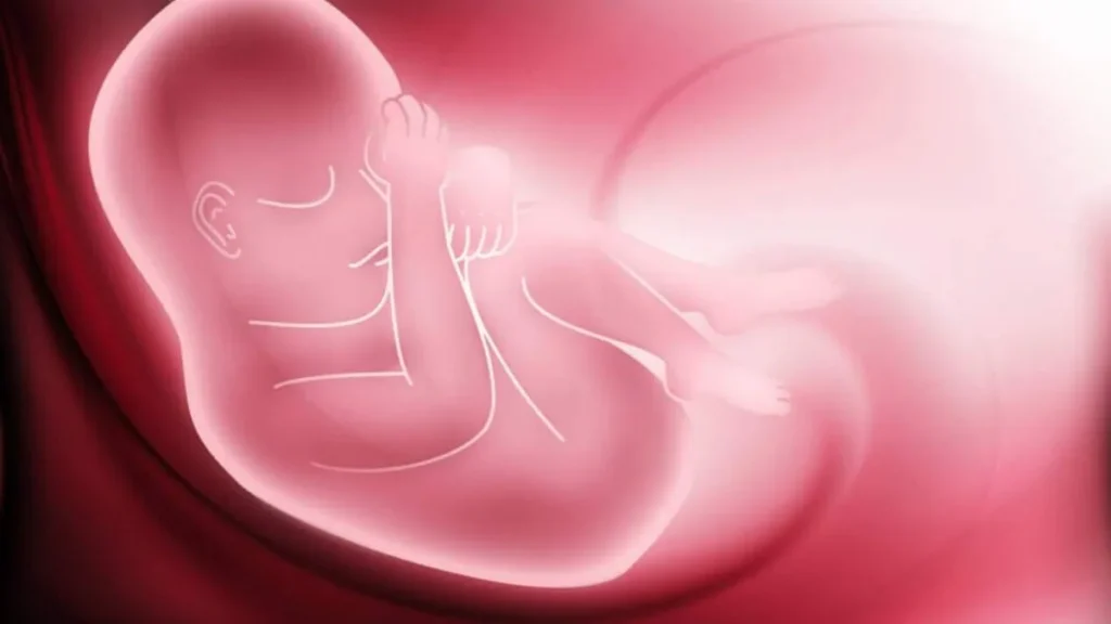 Imagem aborto do artigo Dom Ricardo Hoepers questiona aborto de menina de 10 anos