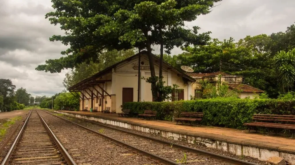 Imagem trem campo interior do artigo 4 situações para entender o êxodo urbano durante pandemia