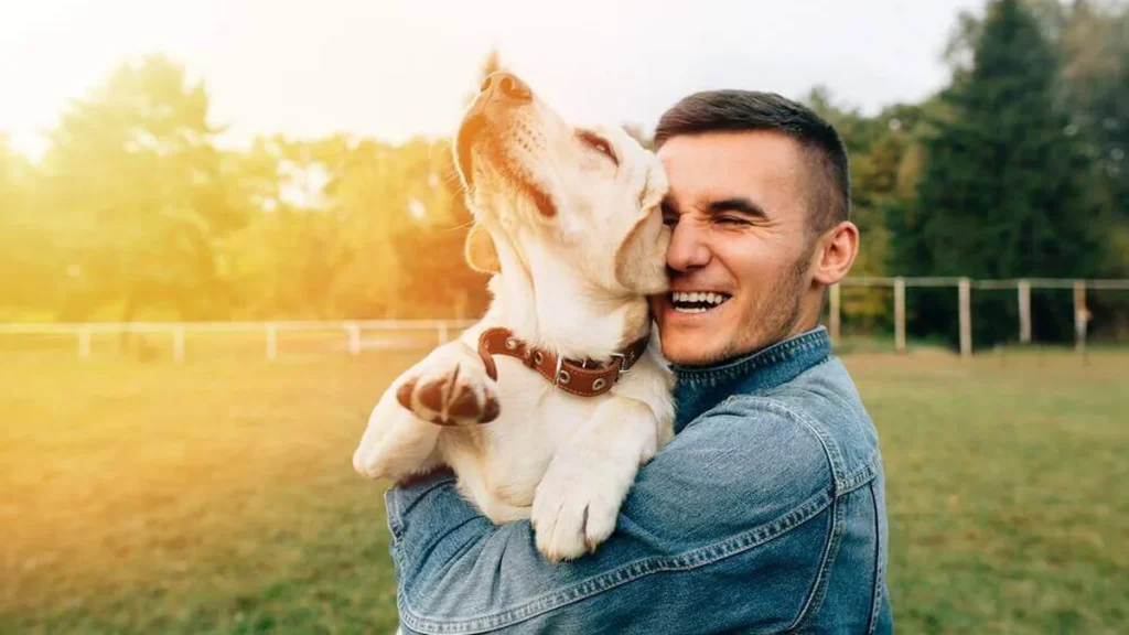 Imagem cachorro do artigo Gosto mais de animais do que de pessoas