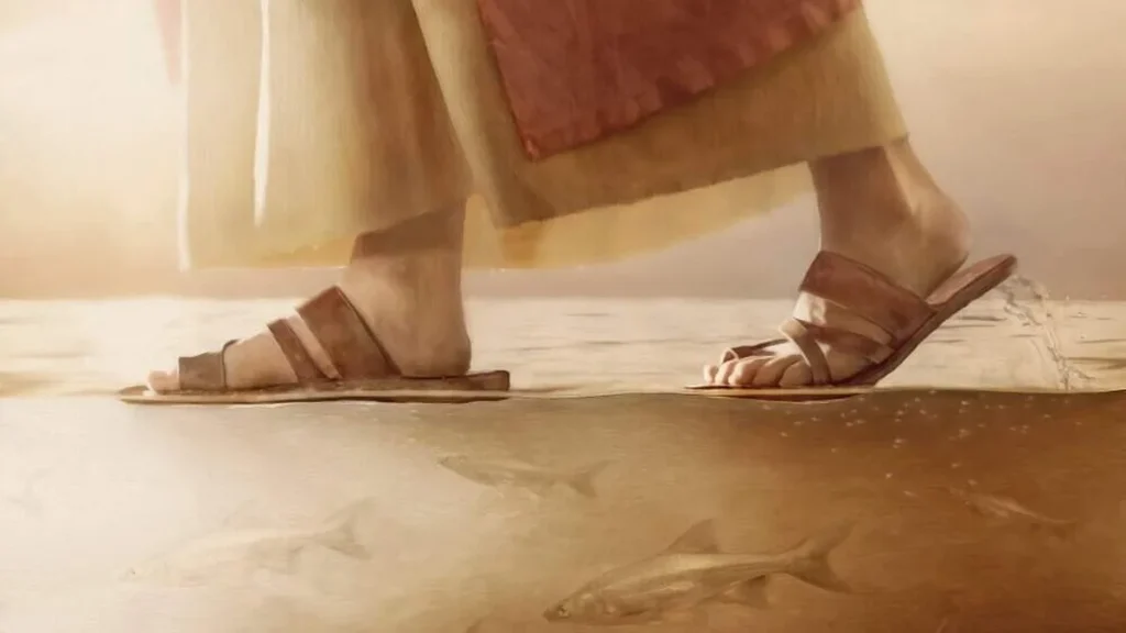Imagem Jesus e o caminho do artigo Homilia JM: Jesus é o único Caminho!