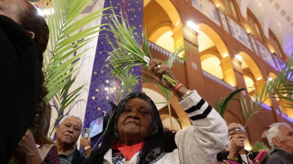 Imagem Domingo de Ramos 2024 no Santuario do artigo Qual o destino dos ramos abençoados usados na celebração?