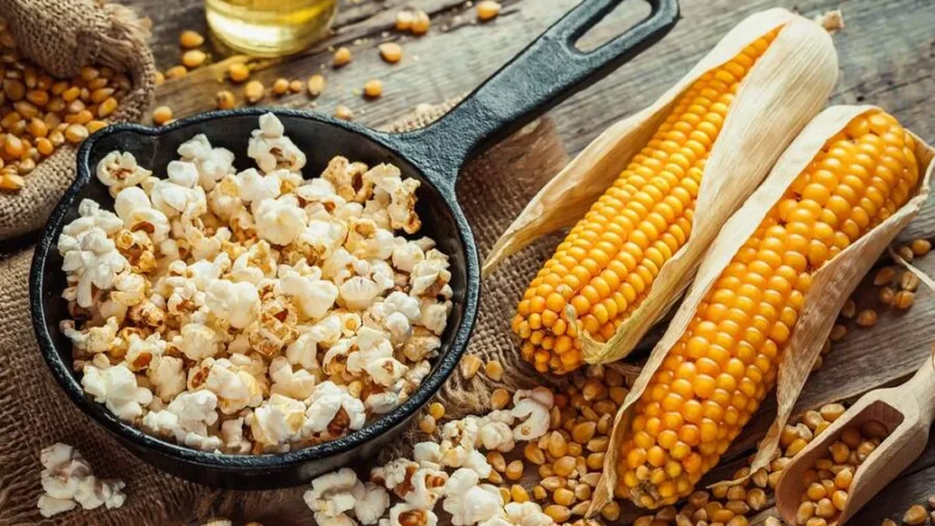 Imagem milho de pipoca do artigo Curiosidades da História: A origem da pipoca