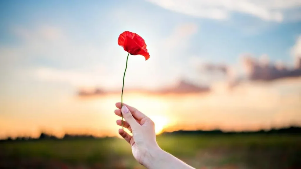 Imagem pessoa segurando flor em meio a paisagem do artigo O florescer da fé por intermédio de Nossa Senhora