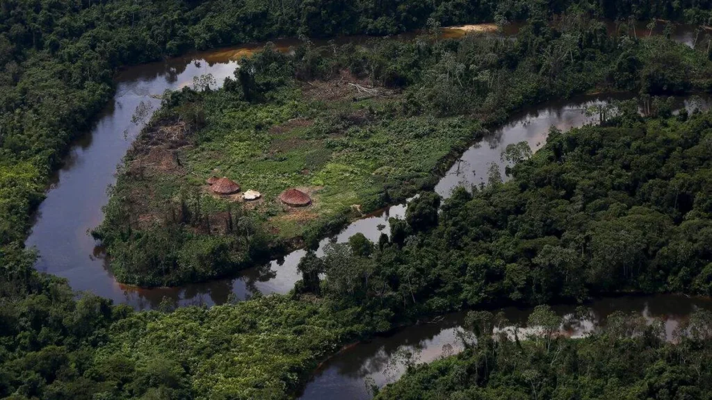 Imagem terra yanomami brasil do artigo Médica conta experiência com indígenas em terras yanomamis
