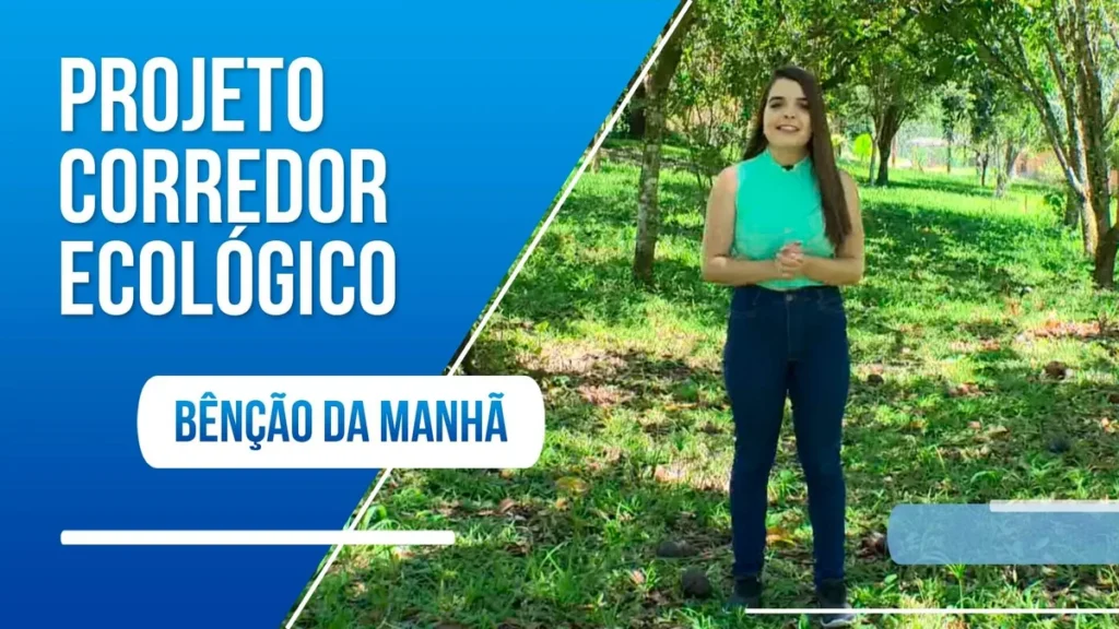 Imagem corredor ecologico do artigo Corredor Ecológico: iniciativa visa preservar a mata e as nascentes do Vale do Paraíba
