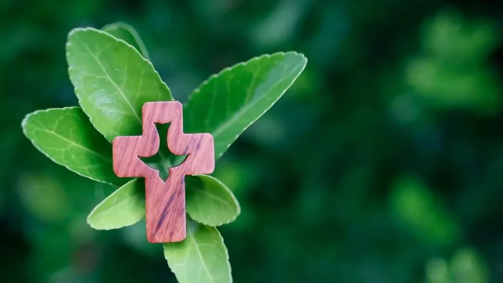 Imagem crucifixo franciscano sobre as folhas de uma planta do artigo Semana Laudato Si': Saiba como participar em sua comunidade