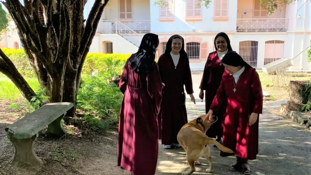 Imagem Monjas Redentoristas do artigo Conheça a trajetória vocacional de uma Monja Redentorista