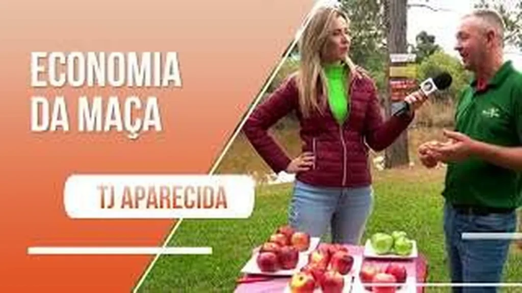 Imagem conheca producao de maca em fraiburgo sc do artigo Conheça produção de maça em Fraiburgo/SC