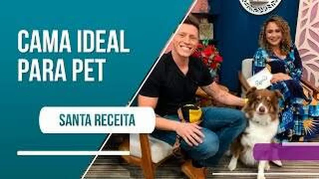 Imagem como escolher o melhor tipo de cama para seu pet do artigo Como escolher o melhor tipo de cama para seu pet