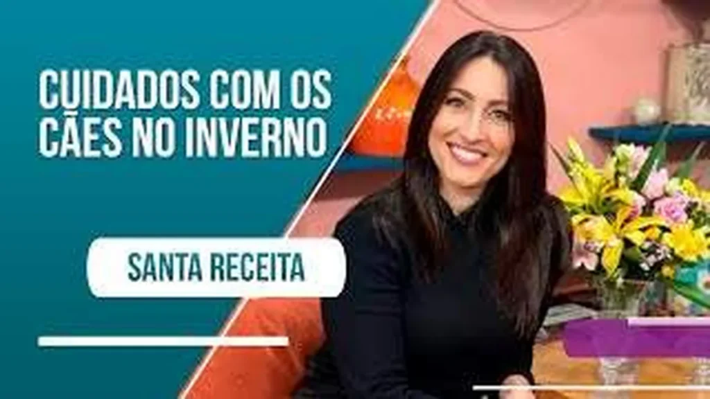 Imagem como manter o pet aquecido e confortavel durant do artigo Como manter o pet aquecido e confortável durante o inverno