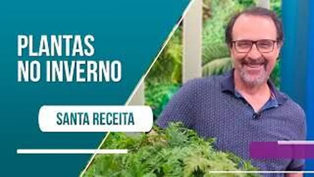 Imagem jardinagem cuidados com as plantas no inverno do artigo Jardinagem: cuidados com as plantas no inverno