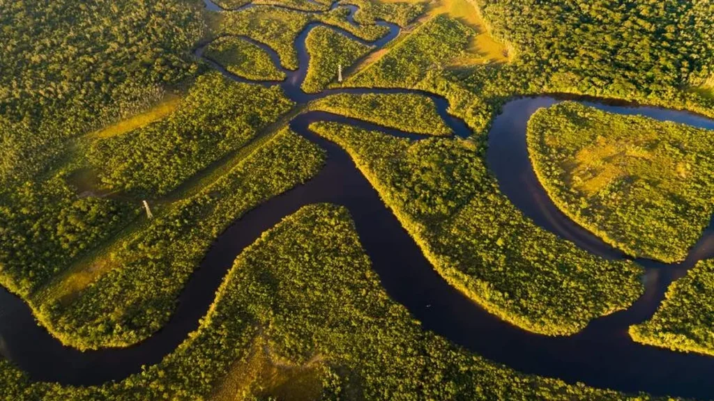 Floresta Amazônica vista de cima