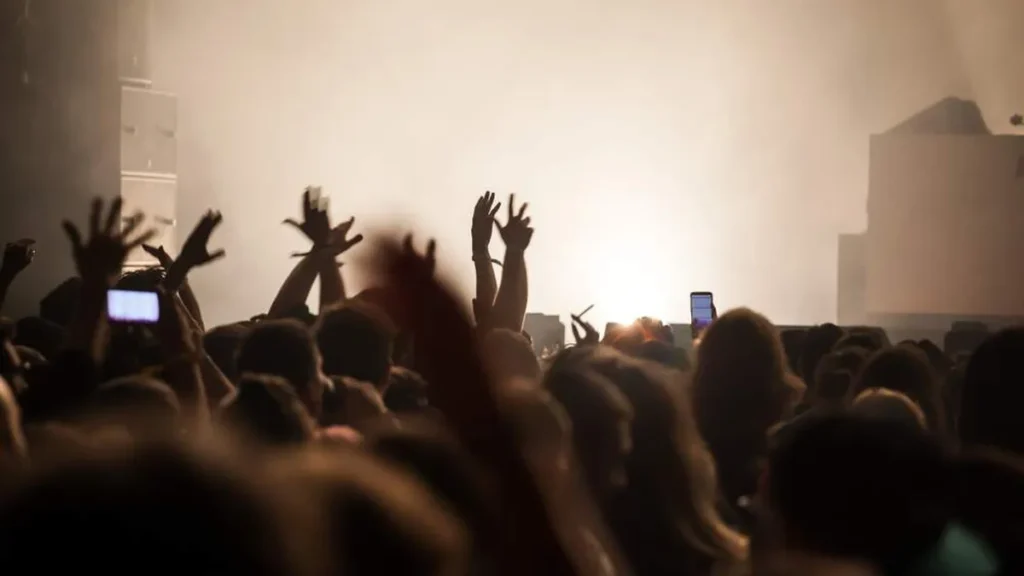 Show de música e pessoas assistindo