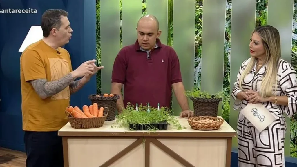 Imagem santa receita do artigo Horta em casa: aprenda a plantar cenoura!