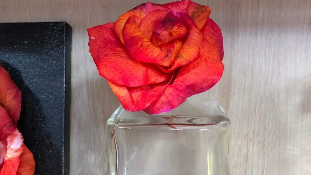 Imagem Aromatizador com Filtro de Cafe do artigo Aromatizador com Filtro de Café - Faça Você Mesmo
