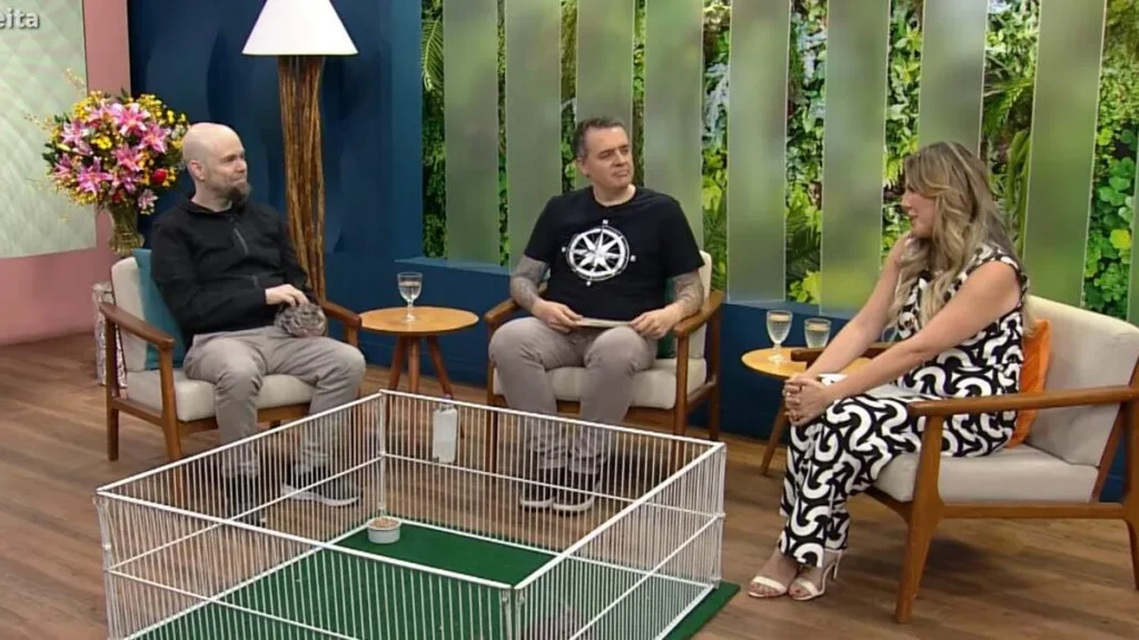 Imagem santa receita do artigo Chinchilas: entenda os cuidados essenciais para tratar esse simpático roedor