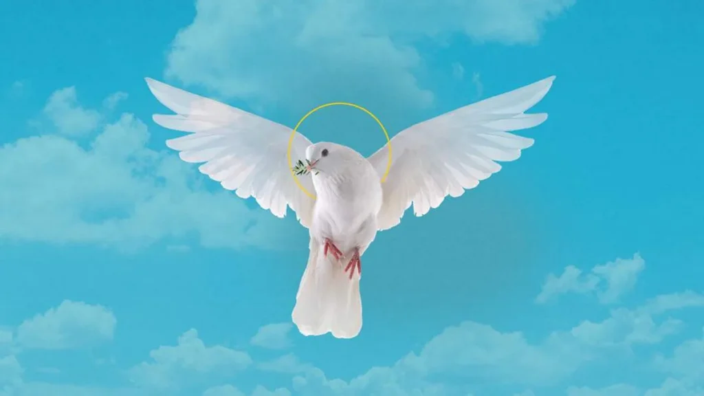 Imagem Oracao pela Paz do artigo Em sintonia com o Papa Francisco, faça sua Oração pela Paz