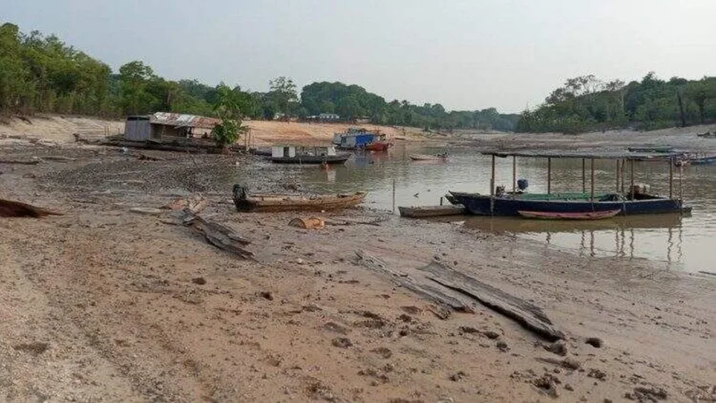 Imagem Seca na Amazonia do artigo Cardeal Steiner pede colaboração com a campanha SOS Amazônia