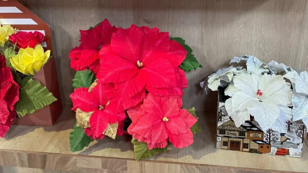 Imagem flor de natal faca voce mesmo Easy Resize.com do artigo Flor de Natal Poinsétia (Papel Crepom Italiano) – Faça Você Mesmo