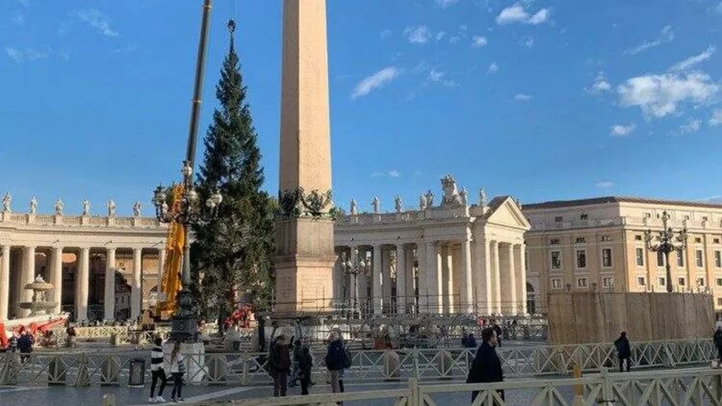 Imagem arvore de natal vaticano do artigo Laudato Si: Árvore de Natal do Vaticano terá destino sustentável