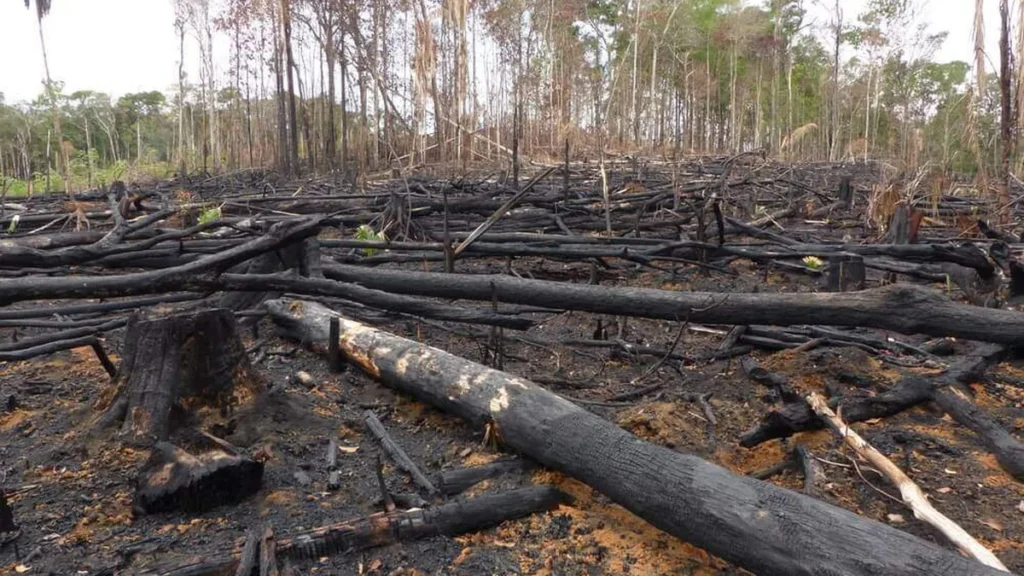 Imagem natureza 3 do artigo Uma compreensão sobre o “pecado ecológico”
