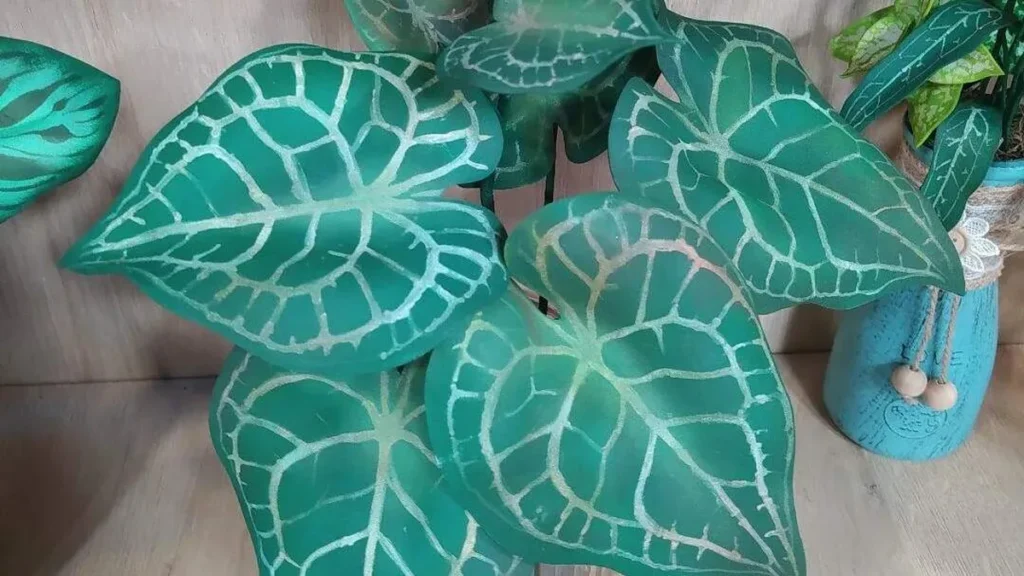 Imagem planta do artigo Mini planta - Anthurium Clarinervium em EVA - Faça Você Mesmo