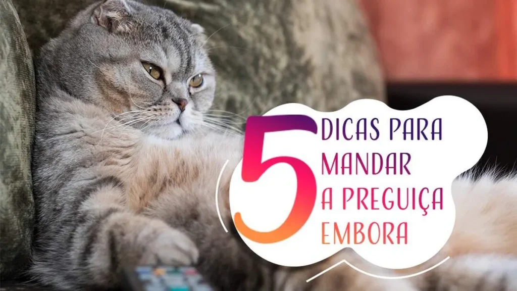 Imagem JM 5 dicas para mandar a preguica embora do artigo Cinco dicas para mandar a preguiça embora