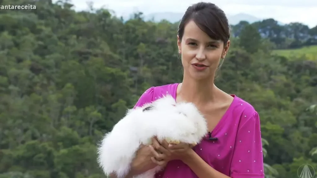 Imagem santa receita do artigo Você sabia que o coelho gigante pode medir até 80 cm e o anão 25 cm?