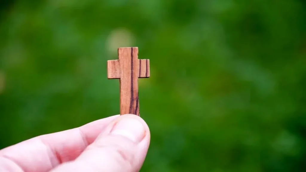 Imagem cruz com mato atras do artigo Inscrições abertas para curso para animação da Laudato Si