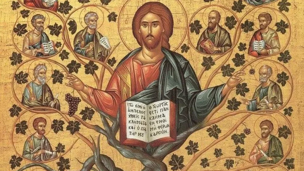 Imagem Jesus a Videira Verdadeira do artigo Os títulos de Jesus: A Videira Verdadeira