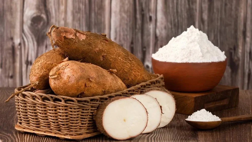 Imagem Sabores do Brasil do artigo 6 anos do Sabores do Brasil: A Mandioca na Mesa Brasileira