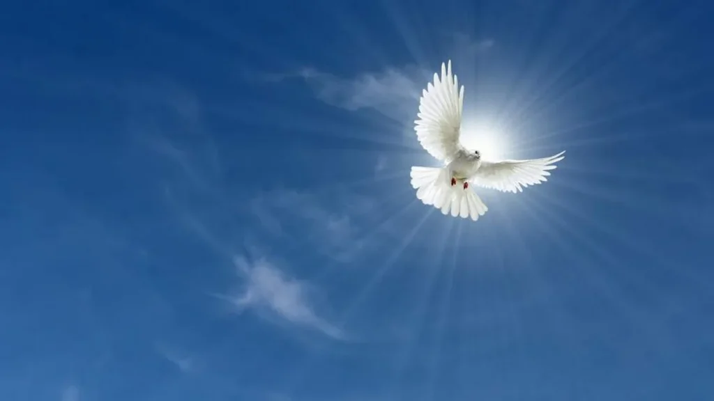 Imagem pomba do espirito santo no ceu do artigo Profetas do Antigo Testamento que falaram sobre o Espírito Santo