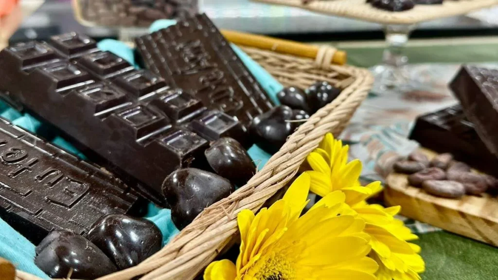 Imagem Barra de chocolate vegana do artigo Barra de Chocolate vegana com ganache de morango – Santa Receita