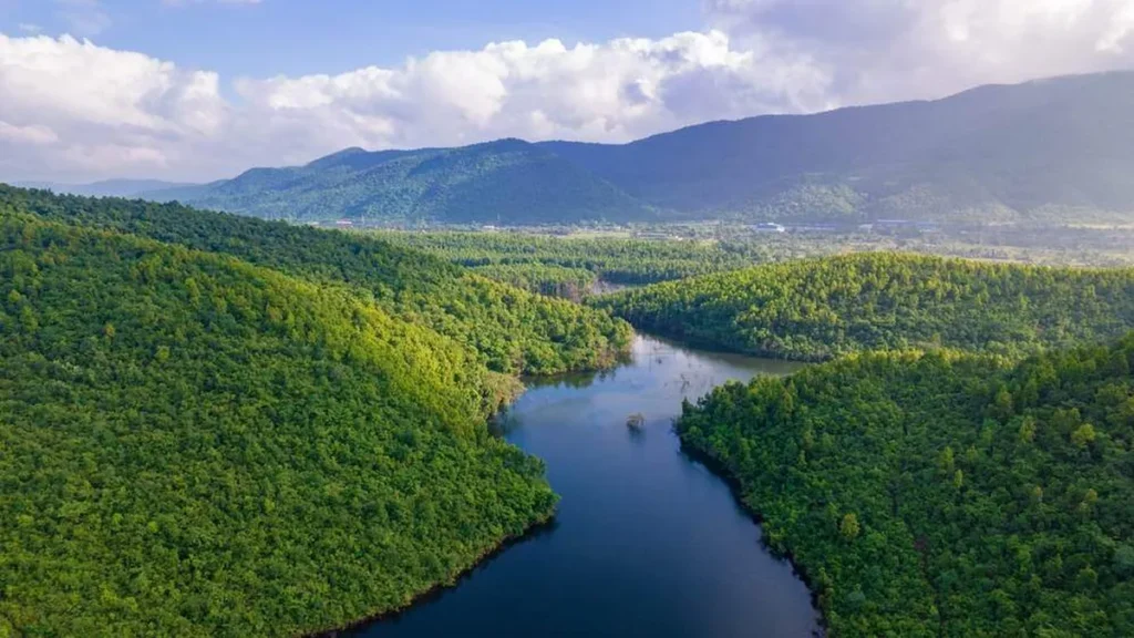 Imagem Meio ambiente do artigo Campanha Junho Verde visa conscientizar para uma educação ambiental