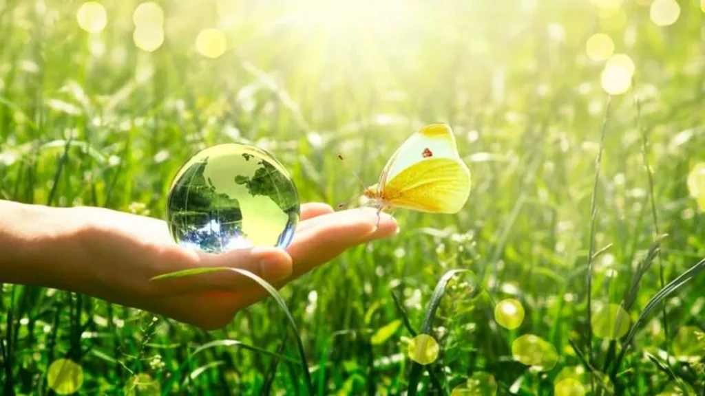 Imagem meio ambiente ecologia cuidado casa comum do artigo Dia do Meio Ambiente: aprendendo a cuidar, preservar e amar