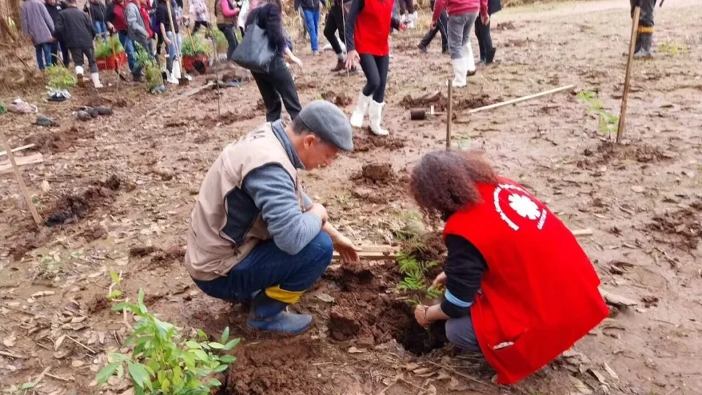 Imagem Plantio Caritas 3 do artigo Cáritas realiza plantio de árvores em cidades gaúchas