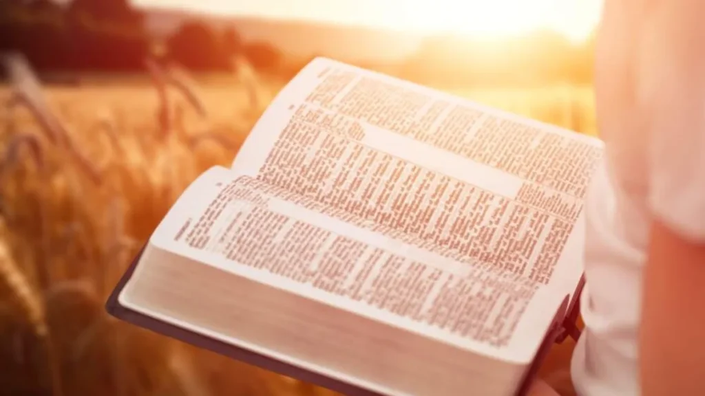 Imagem Biblia do artigo O que a passagem bíblica sobre 'o camelo e o buraco da agulha' quer dizer sobre o dinheiro?